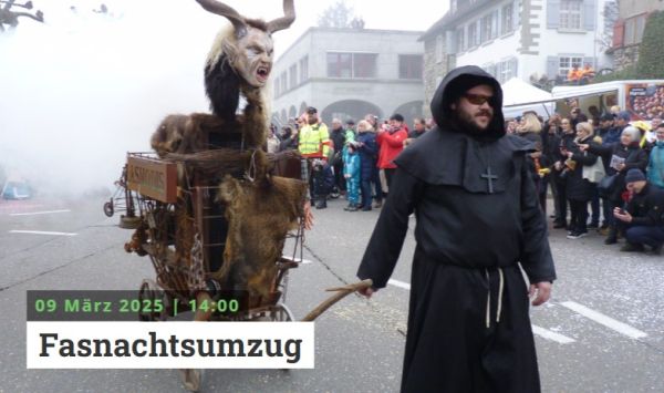 Internationaler Fasnachtsumzug